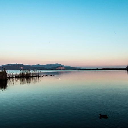 Hotel Butterfly Torre del Lago Puccini Exteriér fotografie