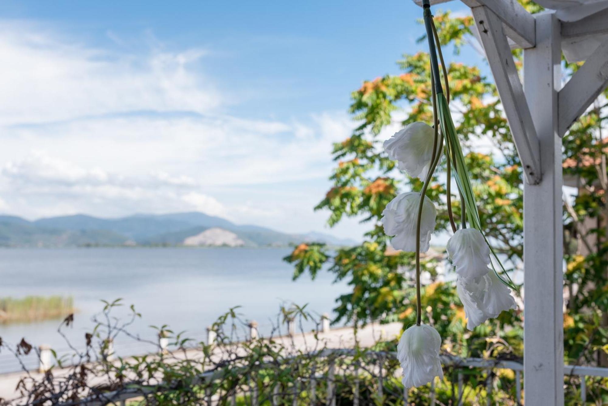 Hotel Butterfly Torre del Lago Puccini Exteriér fotografie